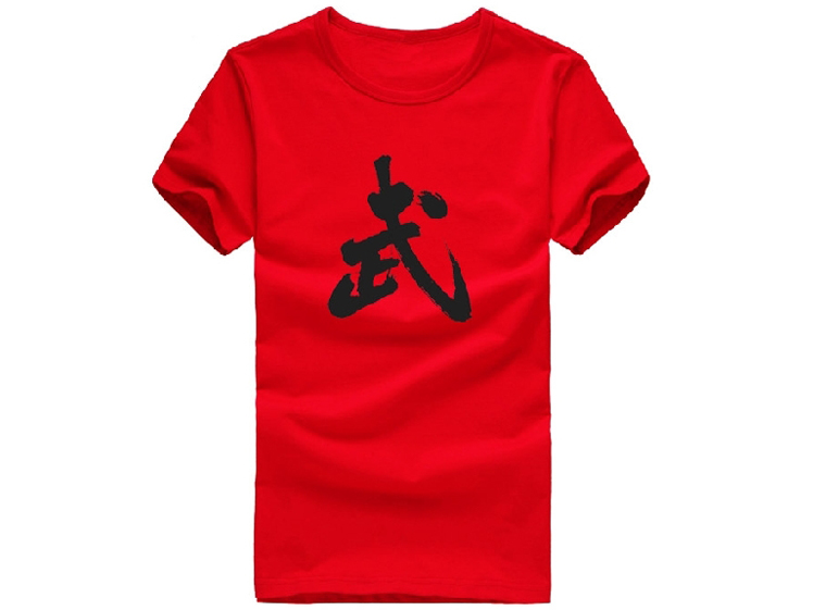 Kung Fu T-shirt